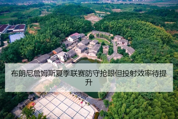 布朗尼詹姆斯夏季联赛防守抢眼但投射效率待提升