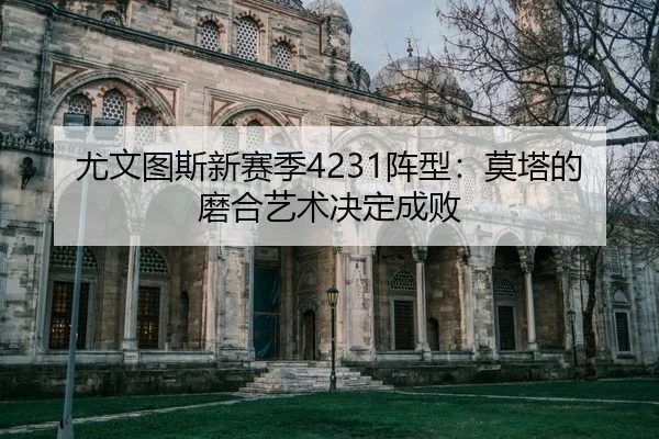you-wen-tu-si-xin-sai-ji-zhen-xing-mo-ta-de-mo-he-yi-shu-jue-ding-cheng-bai-2-864.jpg