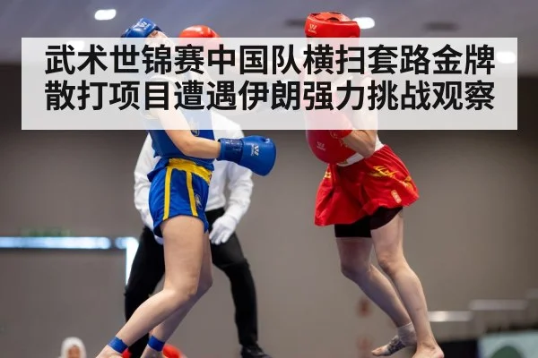 武术世锦赛中国队横扫套路金牌散打项目遭遇伊朗强力挑战观察