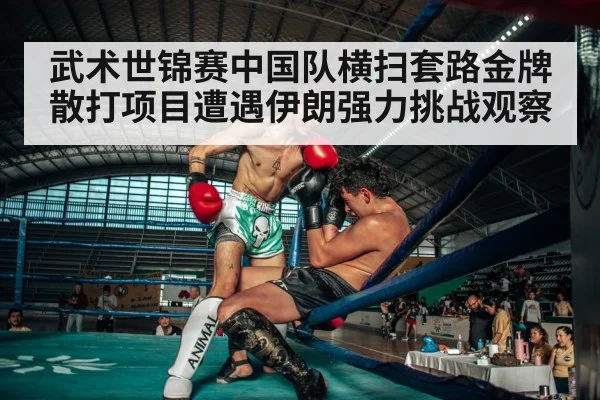 sanda kickboxing fight