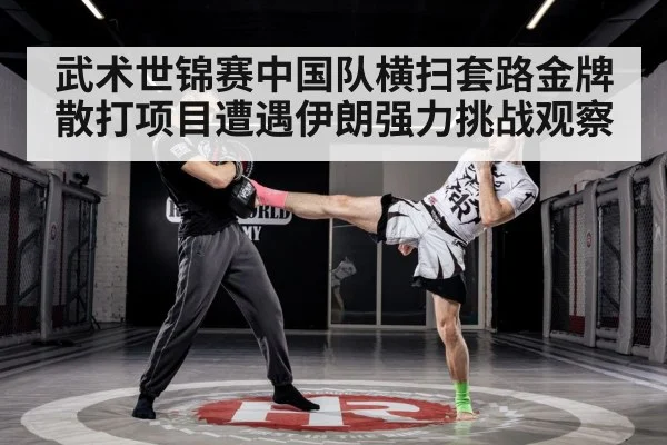 martial arts training gym